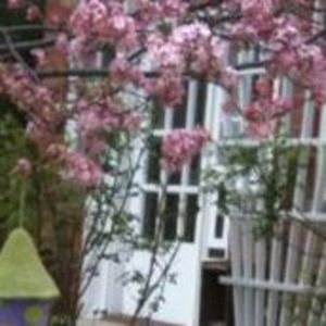 Meet your Posher, Julie